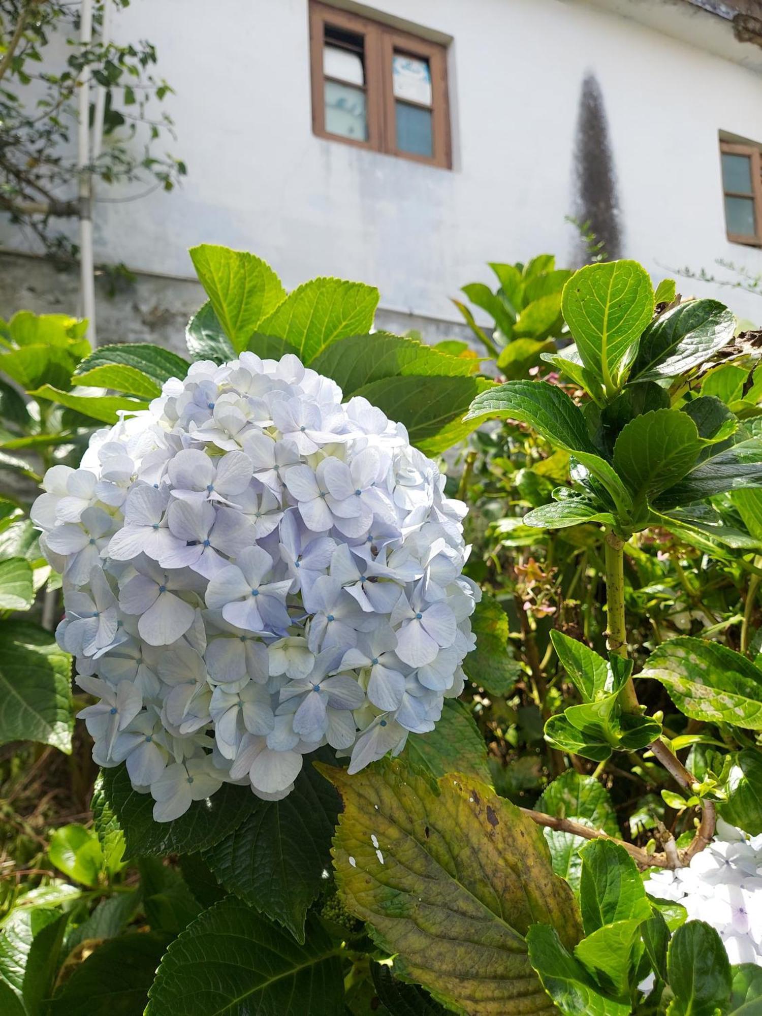 Amman Resorts Kodaikanal Exterior photo